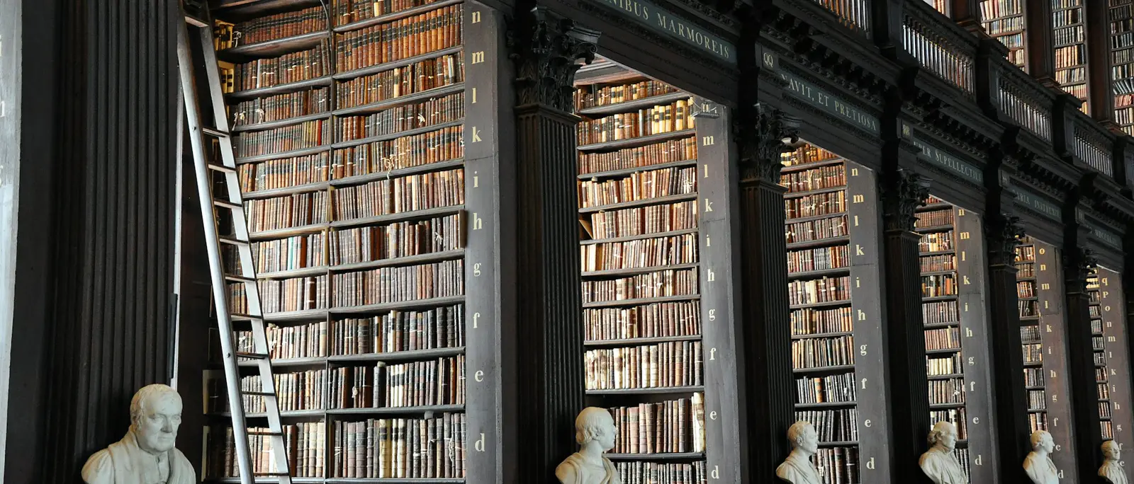 A long library hall with marble busts and tall bookshelves